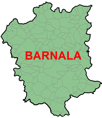 Barnala image